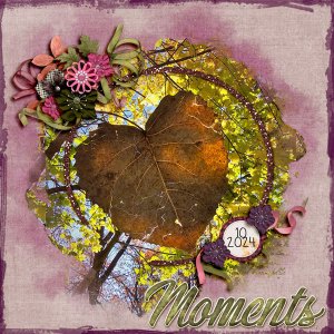 Moments