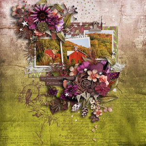 Shades of Autumn