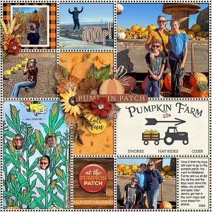 Pumpkin-Patch