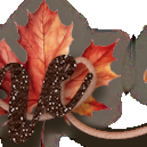 Nov 24 Siggy