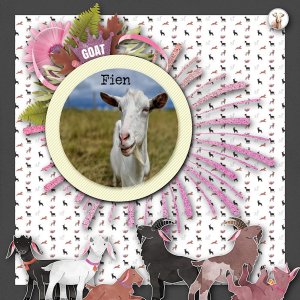 The Goats From Ophelia Sanctuary