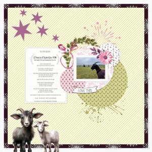 The Goats From Ophelia Sanctuary