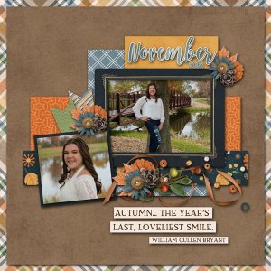 2024 November Challenge with Connie Prince