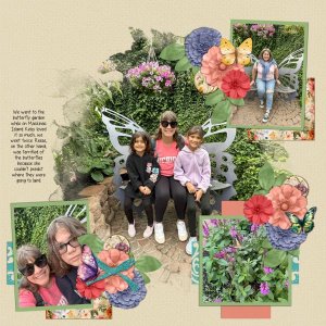Butterfly Garden 2024