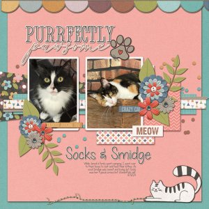 Socks + Smidge 8-31-24
