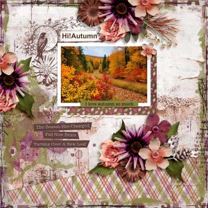 shades-of-autumn-carolw