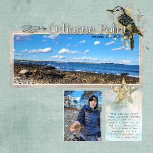 Odiorne Point - October 2024