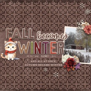 Fall Becomes Winter