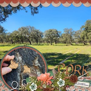 Cork Trees