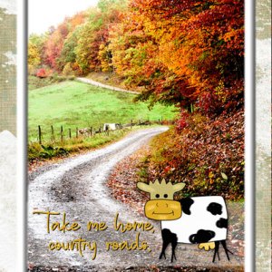 ATC 2024-049 Take Me Home