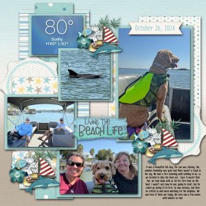 2024  November Template Challenge with Tinci Designs