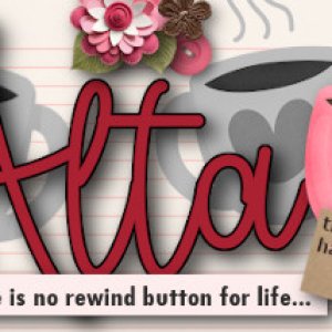 Siggy Challenge Nov2024