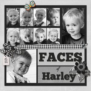 Faces of Harley