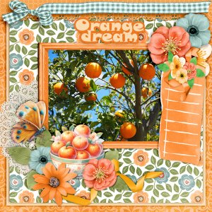Orange-dream