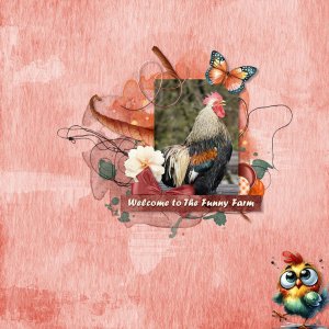 Funny Farm