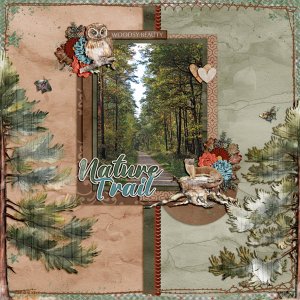 nature trail 2023