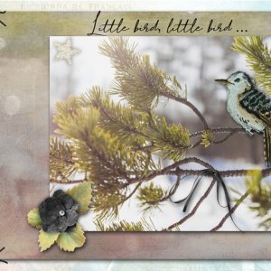 Little bird