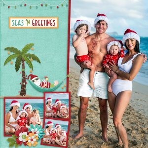 Coastal Christmas with The Big Pic Temps 39 #3-Connie Prince
