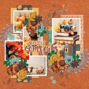 Cozy Comforts Tinci Nov24