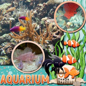 Aquarium Life