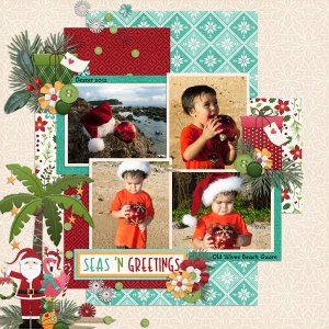 Coastal Christmas Bundle from Designs by Connie Prince
