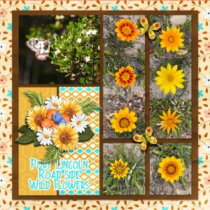 Road Side Wild Flowers