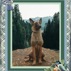 Nature Boy