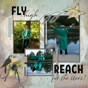 Reach for the Stars