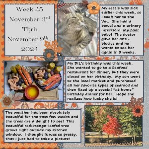 Project 365 Challenge - Week 45