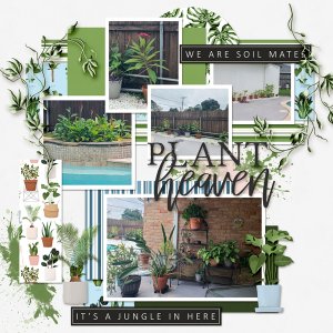 BZ_indoor-jungle