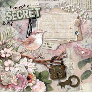 I've Got A Secret