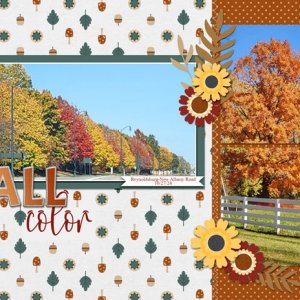 Fall Color