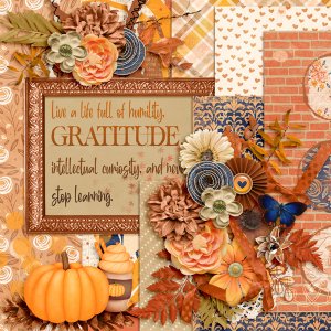 November 2024 My Memories Challenge