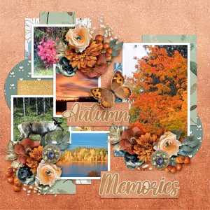 Autumn-memories20