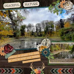 Peaceful Nature