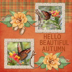 Hello Beautiful Autumn