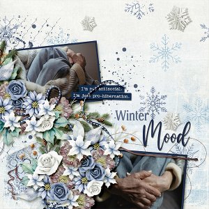 Winter Mood