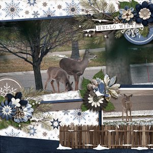 2022 Winter Deer
