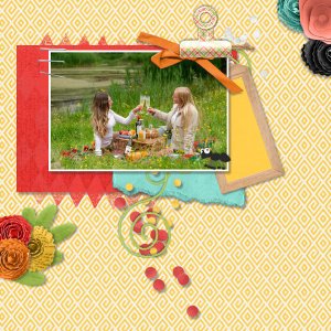 Picnic