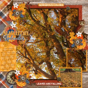 Autumn Splendor