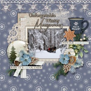 Winter-memories14