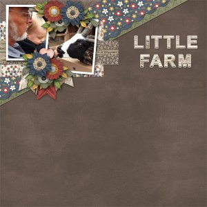 Little Farm