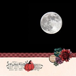 Full Moon Nov 2024
