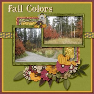 Fall_Colors_small