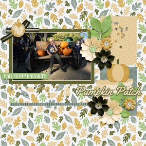 Pumpkin Patch