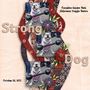 Strong Dog!