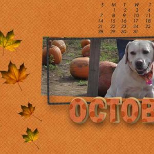 gs-oct-desktop