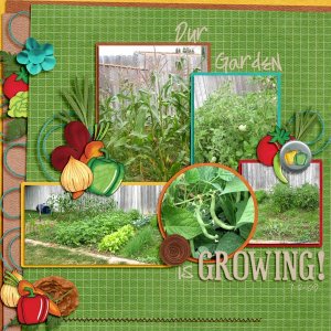 Our Garden is Growing