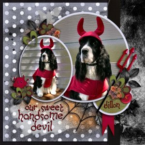 Our Sweet Handsome Devil