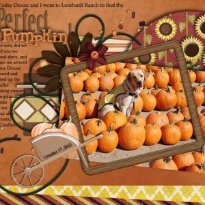 Perfect Pumpkin